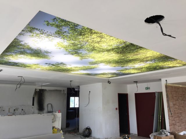 nice ceiling printed